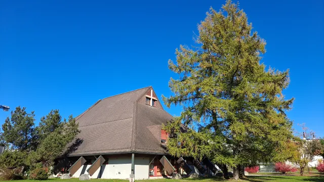 Heilig-Geist-Kirche (Foto: Redaktion Webseite) Heilig-Geist-Kirche (Foto: Redaktion Webseite)